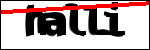 Text der identifiziert werden soll